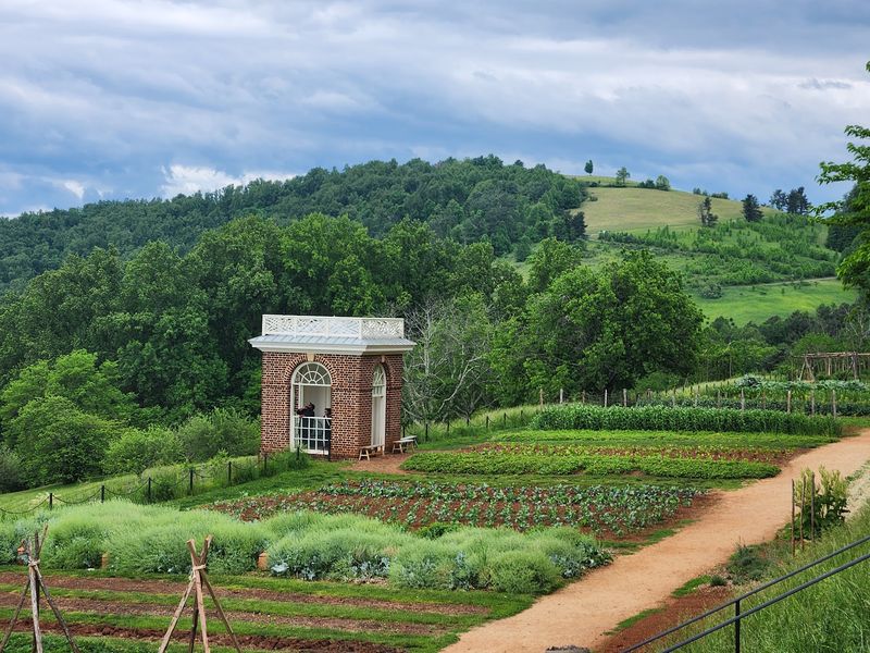 A Two-Acre Vegetable Garden Puts Most Backyard Plots To Shame