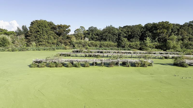Keep Your Eyes On The Water, Because Gators Live Here
