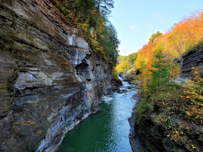 Six-Hundred-Foot Cliffs Above The Genesee River