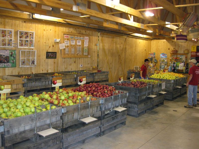 Cider Season in Apple Country