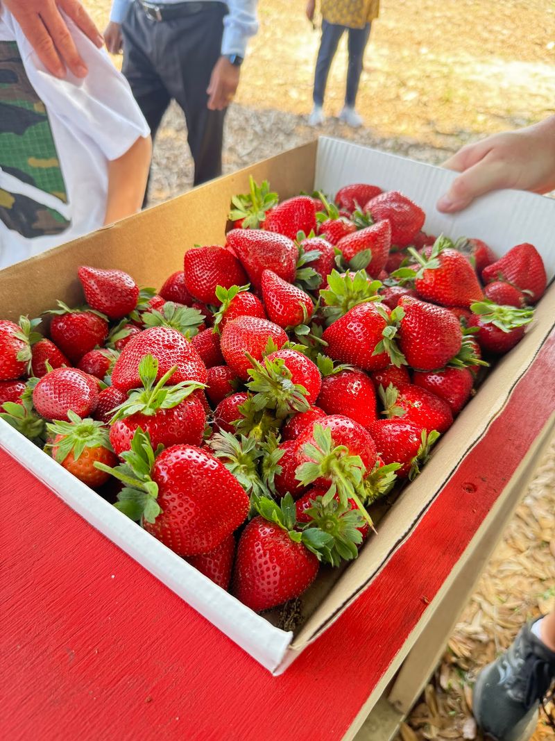 Passion Organic Farm, Thonotosassa, FL