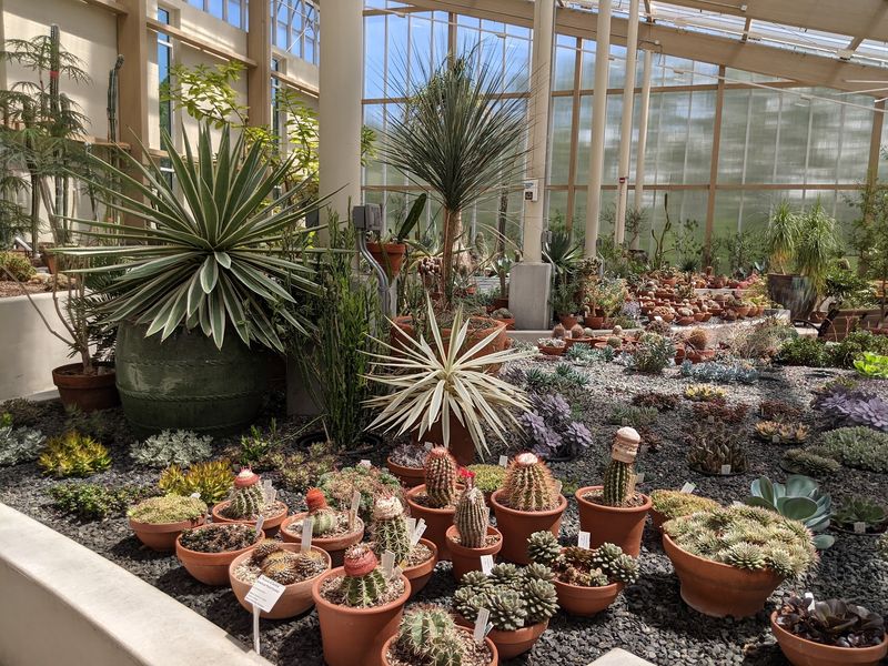 Over 5,000 Prickly Characters Live Inside The Conservatory