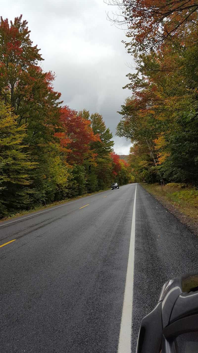 Smart Planning For A Smooth Fall Road Trip