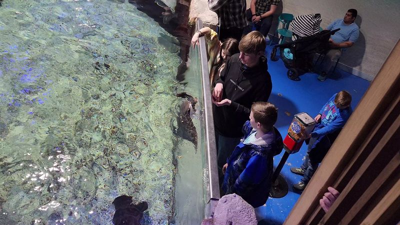 Friendly Animal Experts Make The Whole Visit Click