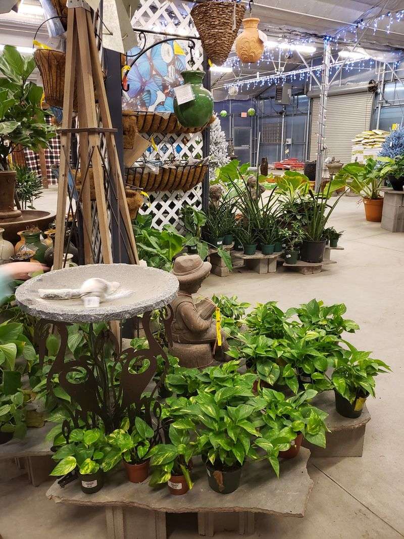 Indoor Decor And Garden Art Worth Browsing