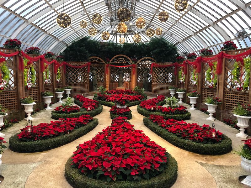A Glass Palace Full Of Poinsettias Is Worth Bundling Up For