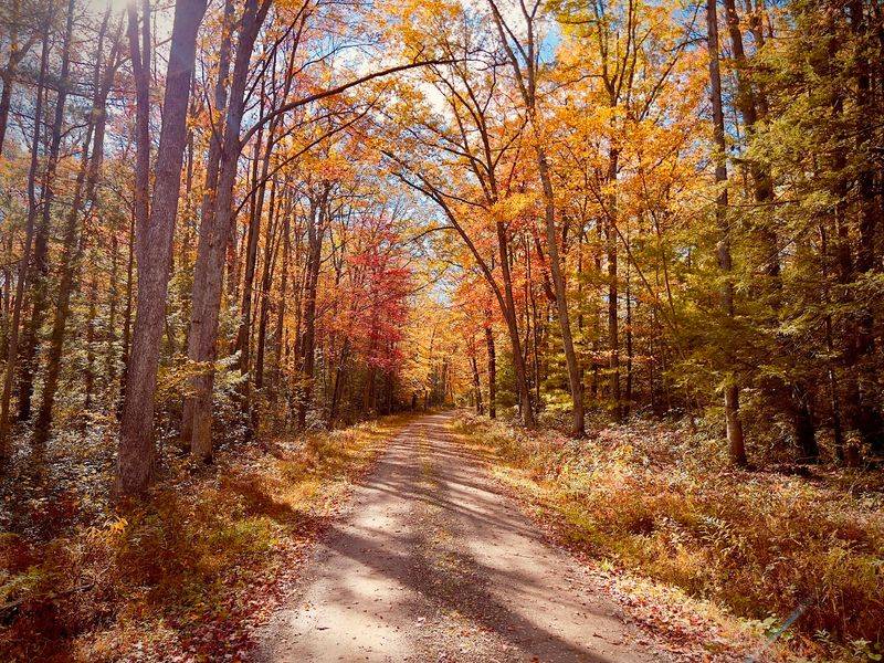 Hiking Paths For Every Pace