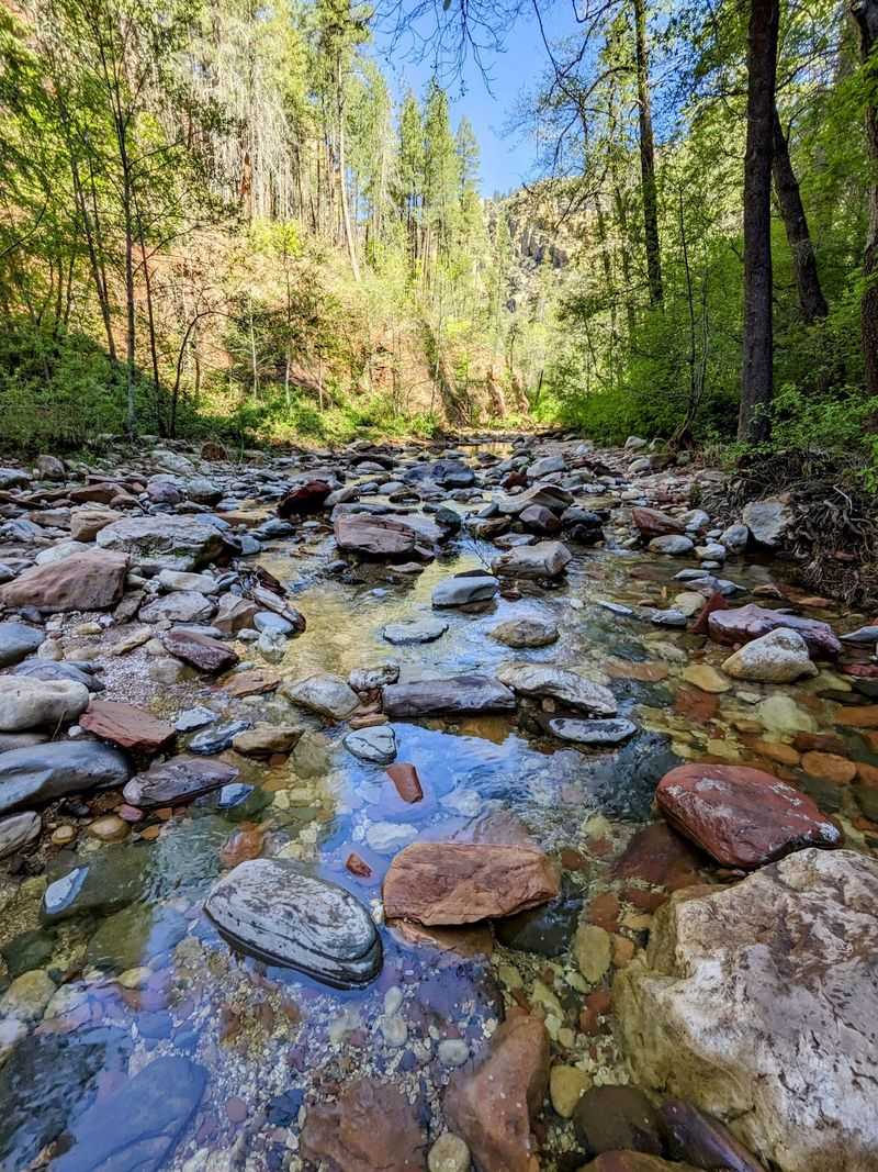 Pack Like The Creek Will Win A Round
