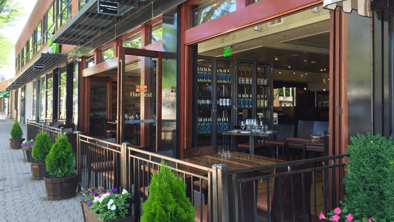 Harvest Kitchen & Bar