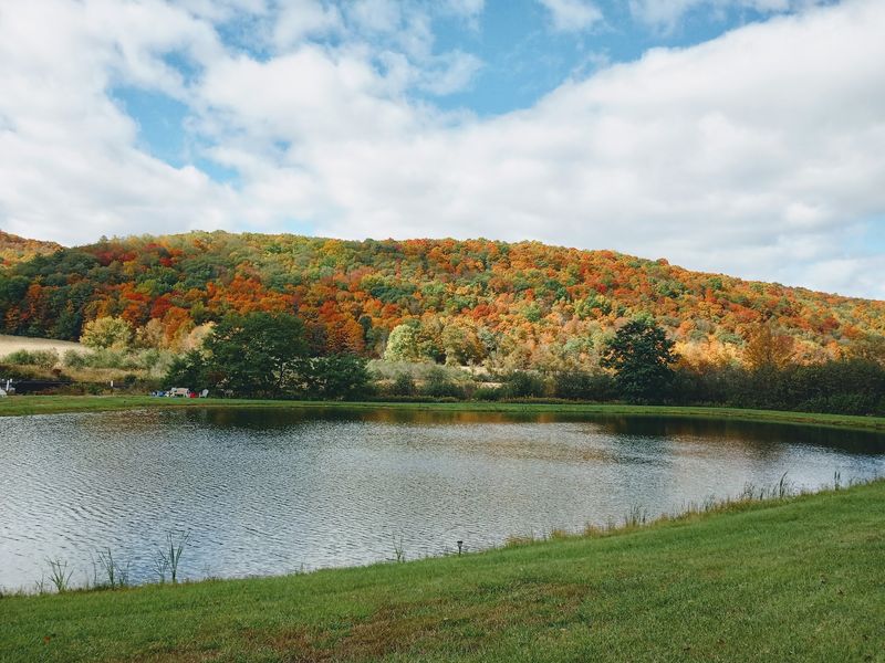 Catching October's Changing Colors