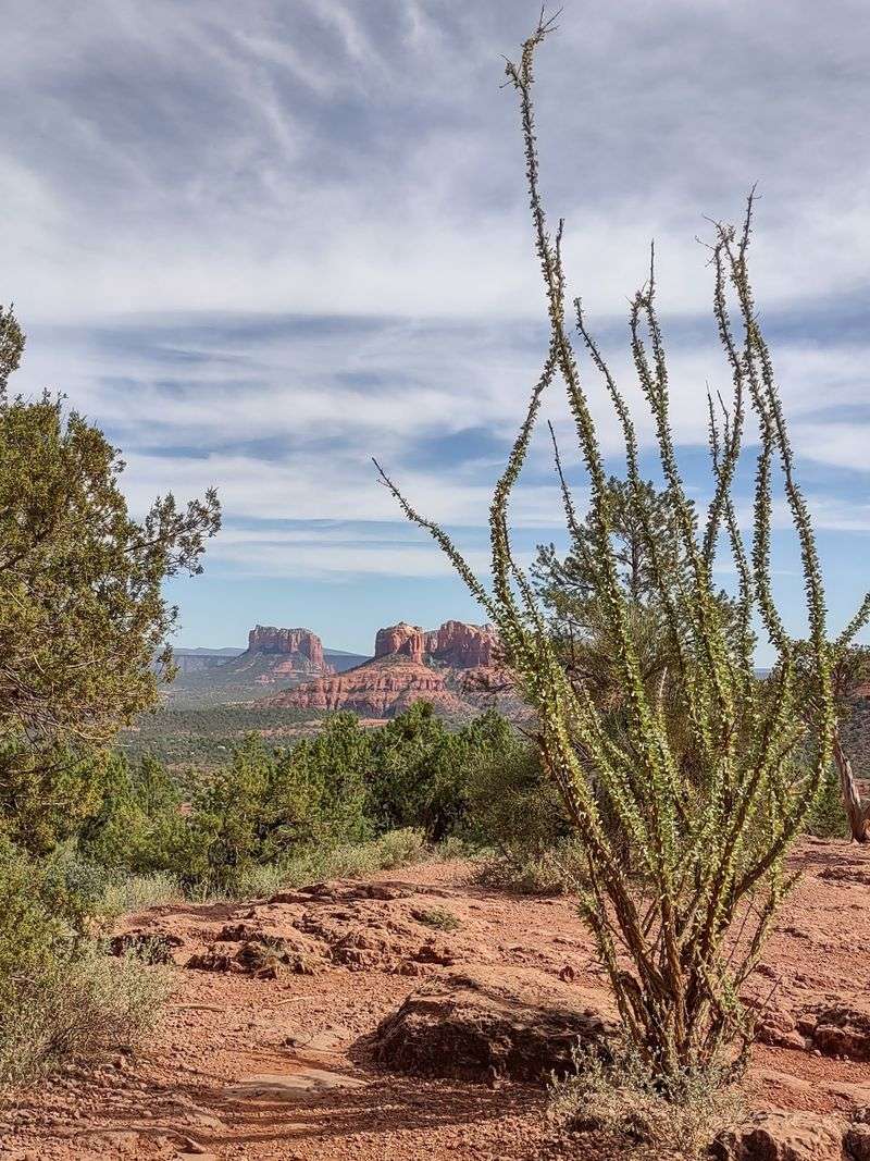 Lower Red Rock Loop Road