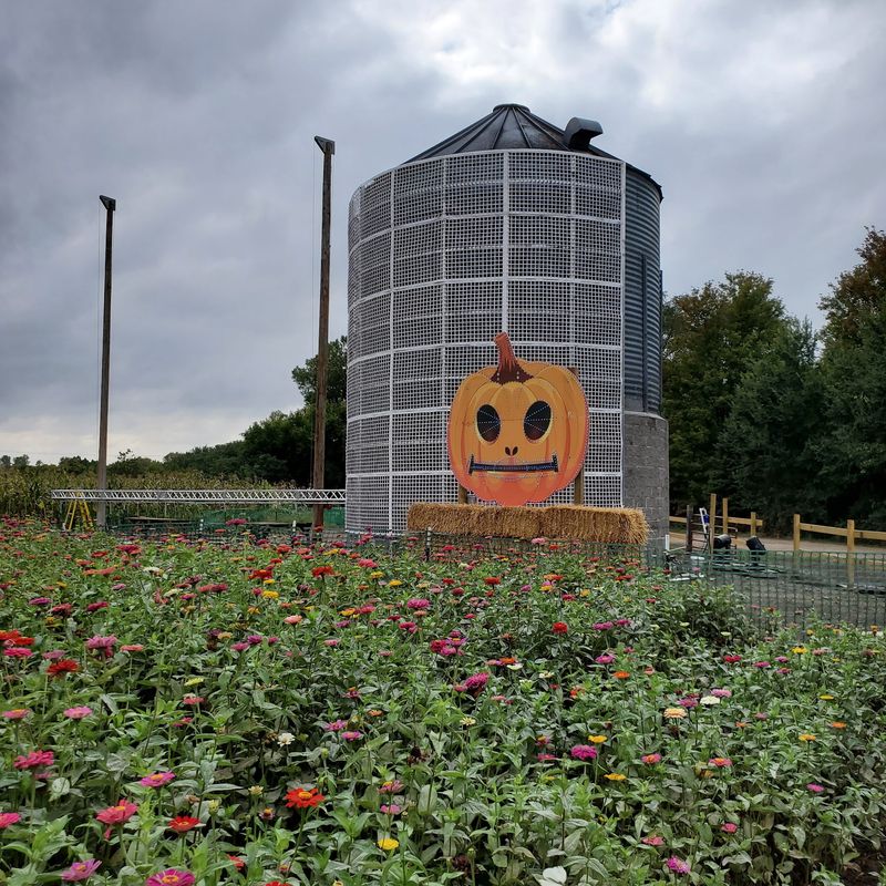 The Three-Acre Maze Brings Plenty Of Turns