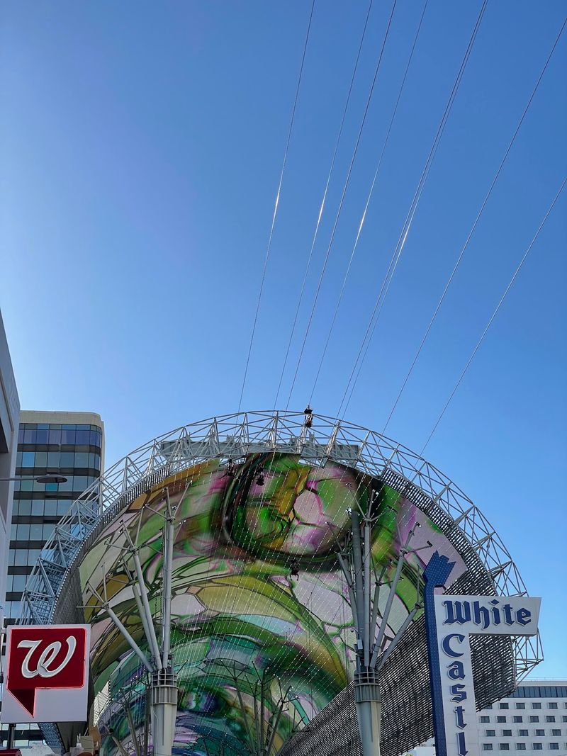 The Ride Has Been Flying Since 2014