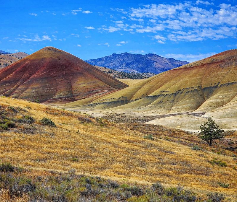 Panoramic Views From The Painted Hills Overlook