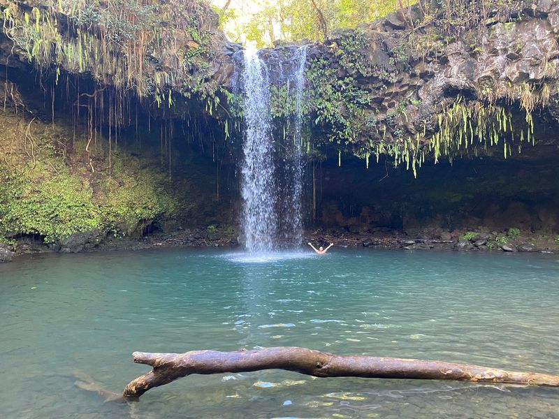 Twin Falls