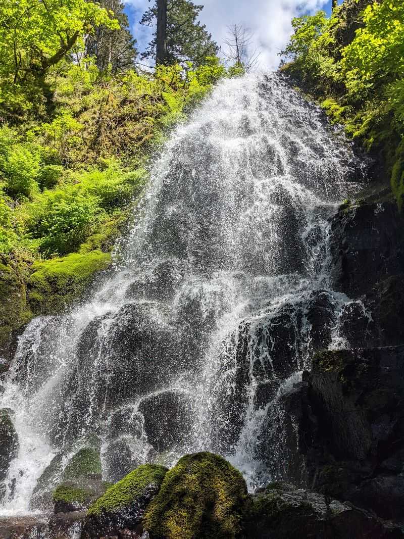 Rain, Snowmelt, And Changing Seasonal Scenery