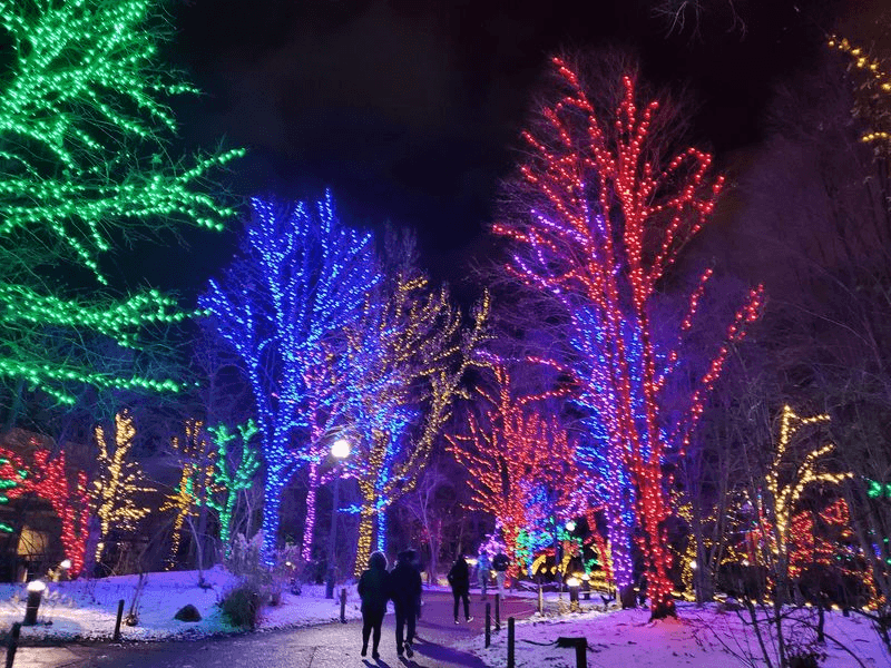 Catch Carolers, Ice Carvers, And Santa On The Right Night