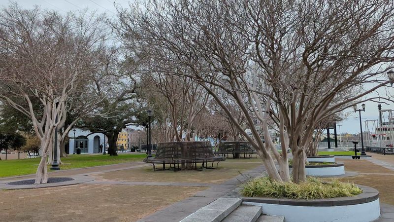 Look Beyond The Music In Cajun Village
