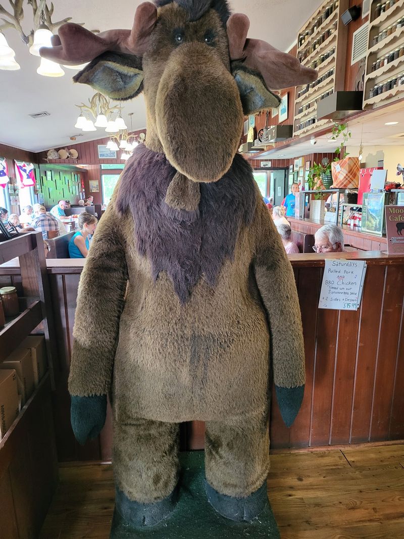 Rustic Rooms, Mountain Windows, and an Eight-Foot Moose