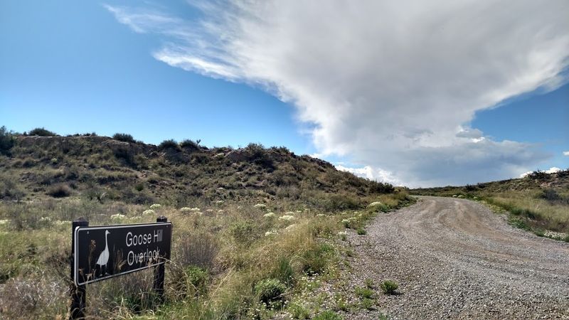 A Scenic Drive Through Crane Country