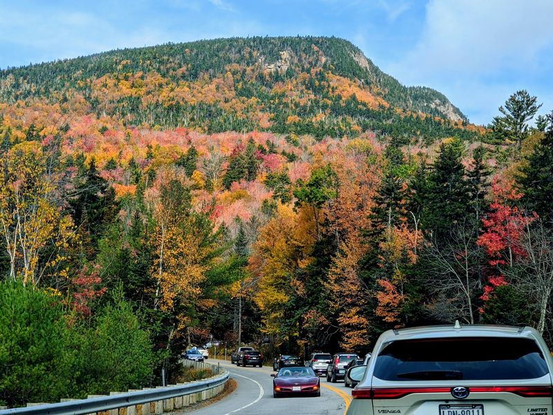 Why The Fall Colors Look Different Along This Highway