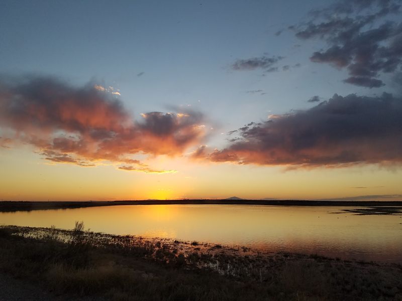 Sunset Turns The Water Into Gold