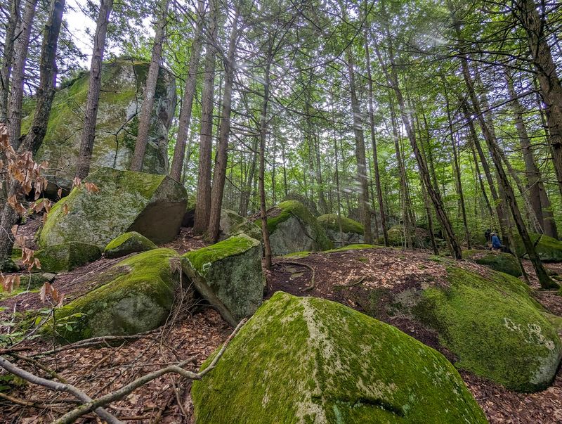 Pawtuckaway State Park