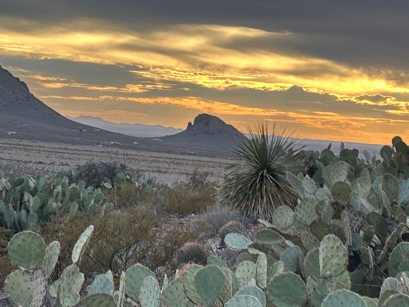 Rockhound State Park, Deming
