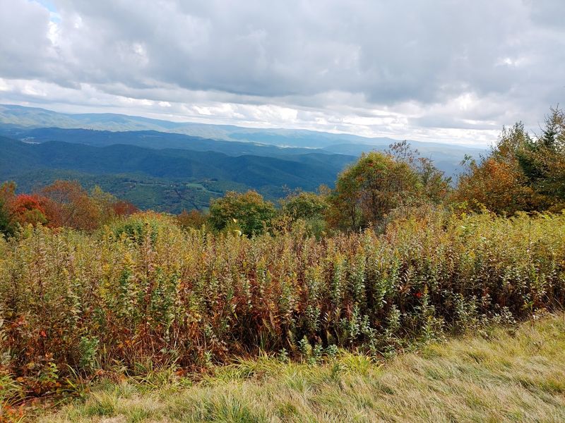 Bald Knob Sits Nearly 5,000 Feet Above Sea Level
