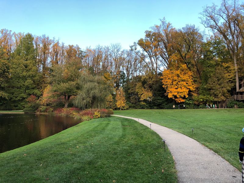 Leafy Trails And Crunchy Paths Made For Slow Autumn Strolls