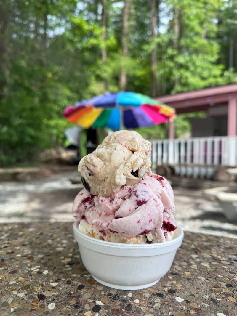 Dolly's Dairy Bar & Gift Shop, Pisgah Forest, NC