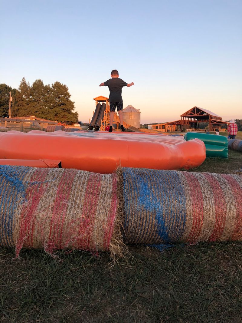 More Than 45 Activities Fill The Farm With Autumn Fun