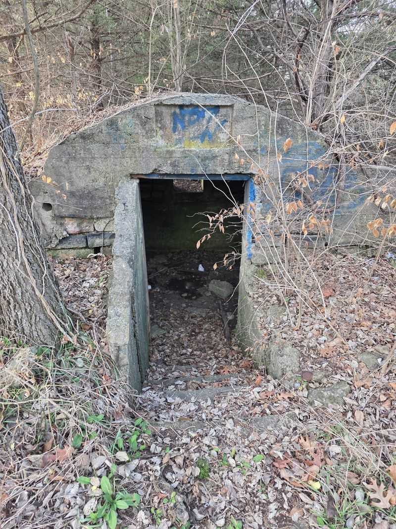 Old Cement Ruins Turn Your Hike Into A Treasure Hunt