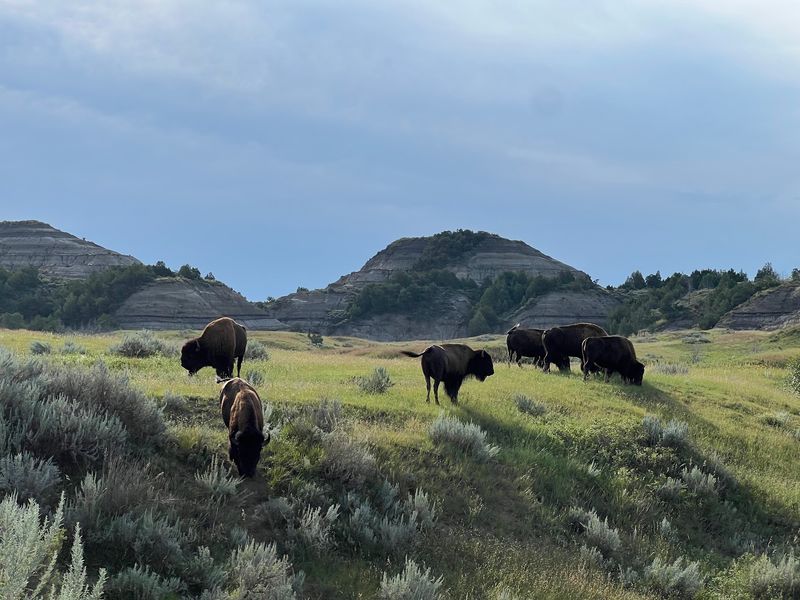 Thirty-Six Miles Of Loop Road Packed With Surprises