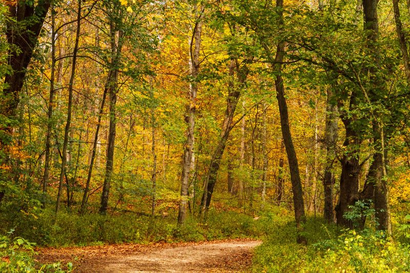 Beaver Creek Valley State Park