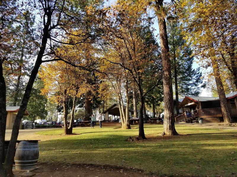 Apple Ridge Farms - Apple Hill #20