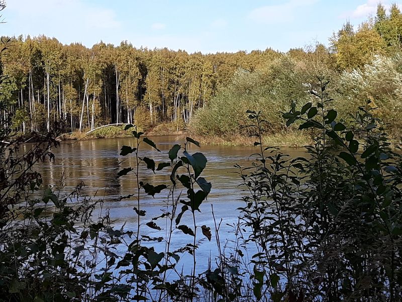 A Lakeside Escape Sits Just Minutes Away