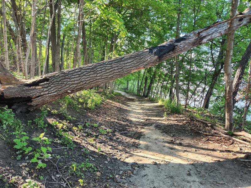 Squire Point Trail Head, North Liberty