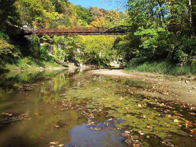 Starr's Cave Park and Preserve, Burlington