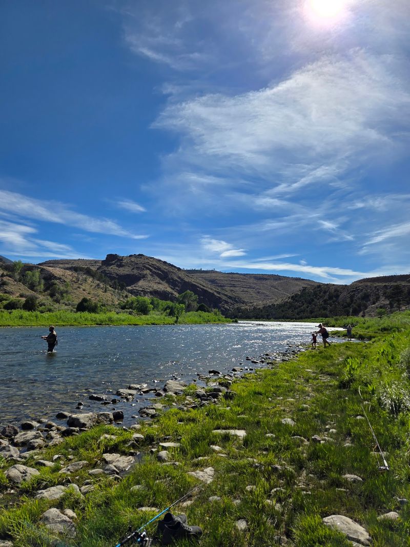 Anglers Chase Record-Sized Fish Here