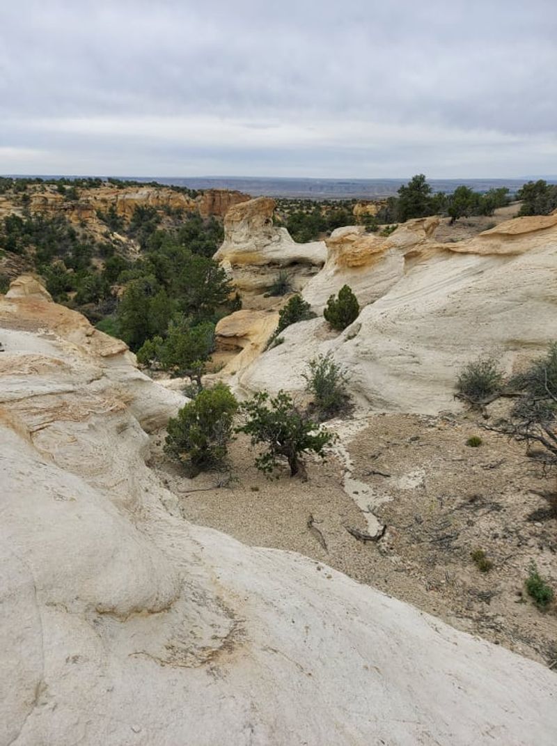 Slower Adventures Pay Off With Big Desert Views