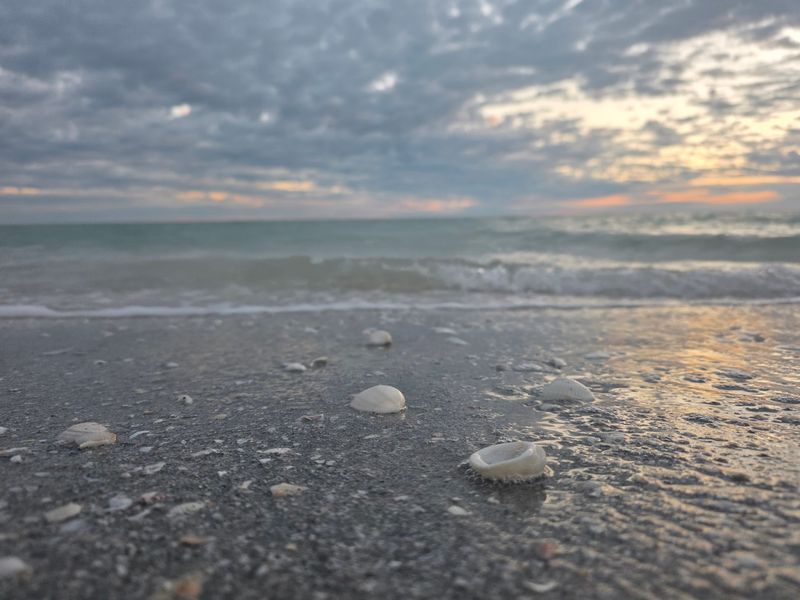 Leave The Living Ones Alone, And The Ocean Will Thank You