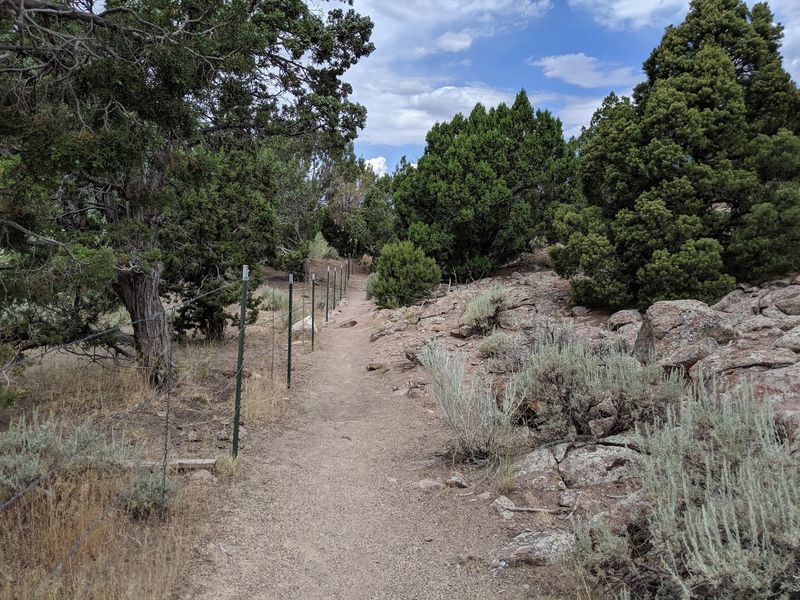 Follow A Gravel Road Into Dixie National Forest To Find It