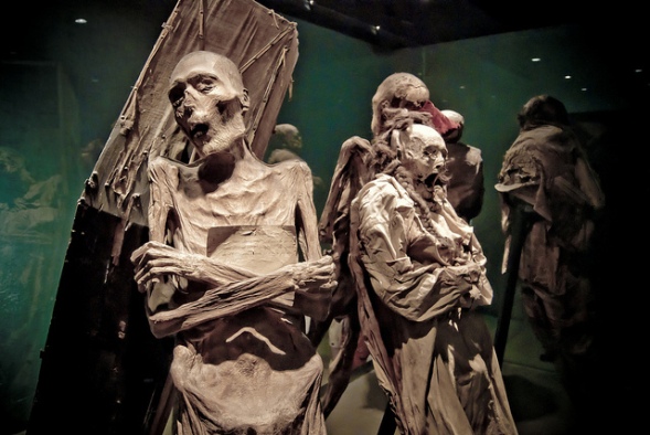 Mummies look on as people wander through the Mummy Museum. (Photo: A. Castro via Flickr)