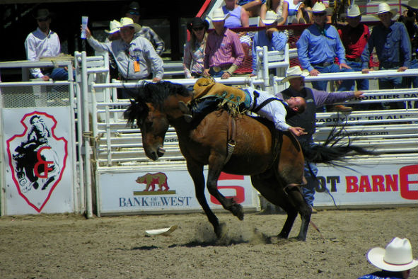 Cheyenne Frontier Days Rodeo (Photo: Stephen Conn via Flickr)