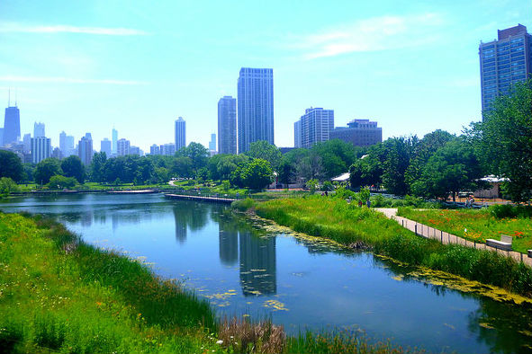 View of the City from Lincoln Park Zoo. Chicago, IL (Photo: Jess R. via Flickr)