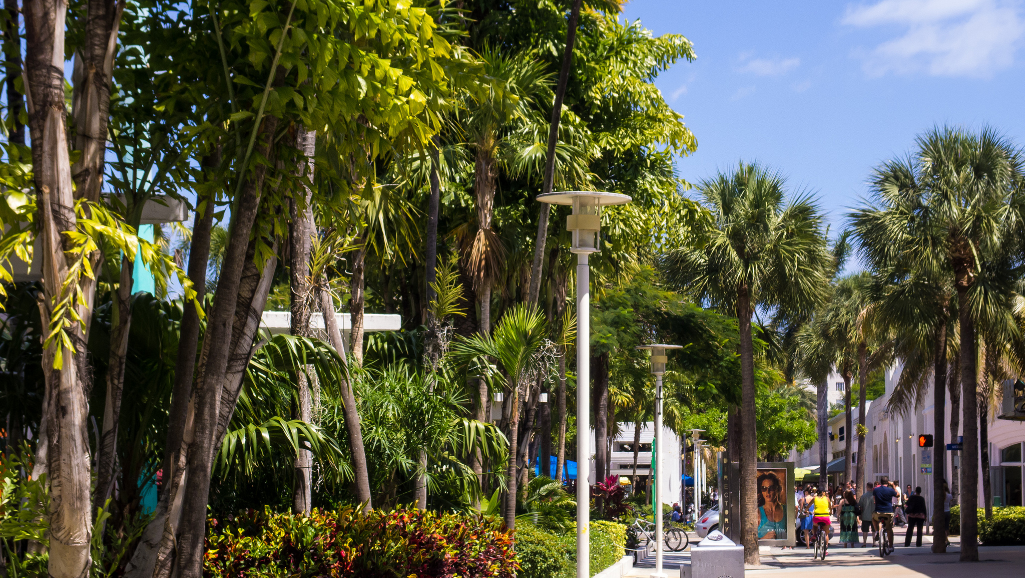 Lincoln Road Mall (Photo: Ed Webster via Flickr)