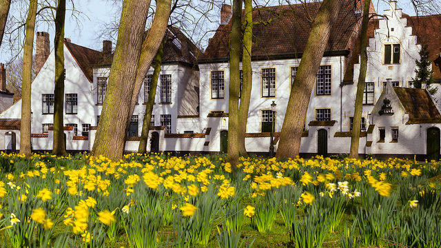 The Begijnhof in Bruges (Photo: savolio70 via Flickr)