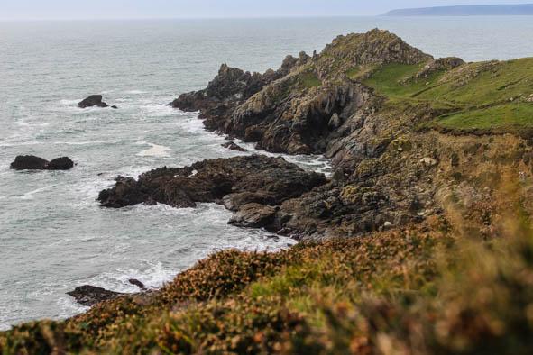 Intriguing visitors from afar may have been drawn to Cornwall's shores (Photo: Paul Stafford)
