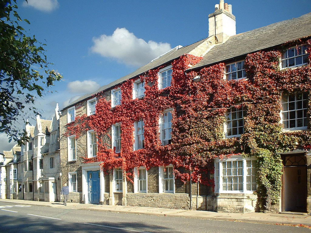Ivy-clad terraced houses in Oundle